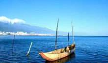 特大好消息！过了春节后，度过八十一难，4个“惹不起”的生肖