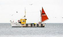 盘点二月二龙抬头运势好到爆的生肖！