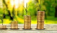 4月桃花朵朵开，富贵有余，全家人跟着享福的三生肖