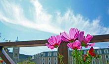 3月天赐大喜，3生肖添丁添财添福运，财运一飞冲天