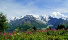 屏风在风水中的作用是什么？(图文)