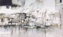 狮子座四种血型性格全面解析，A型血含蓄高雅自带神秘感