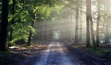 世间最大的风水是人心