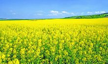 5月26.27号，日进斗金，3属相事事顺心如意，不愁吃喝