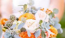 2020年7月,8月和9月生肖属猴和生肖属猪哪几天结婚好