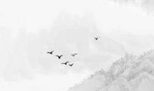 处女座四种血型性格解读，O型血生活状态乐于变化且力争上游