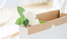 在爱情里，AB血型君最重视的东西！