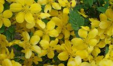 2020年霉运走鸿运来！3生肖买房买车存款多，事业腾飞！