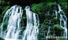 财气大旺的4生肖，1月23号开始，喜事不断，日子富得流油