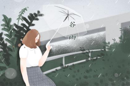 为什么谷雨这天的茶最好 原因是什么