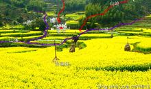 原创 26条生活必知的风水，一定要记住！