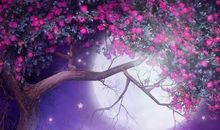 青衣（周运）12星座一周运势（1.27-2.2）