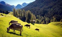 杨公风水培训知识点：细说阳宅风水中的喜和忌