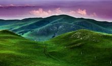 下周吉星当头的4属相，生意兴隆，日子顺心，喜事层出不穷