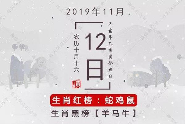 11月12日生肖运势 | 生肖鼠投资运佳！