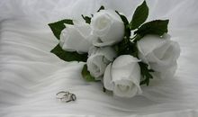 2020年有横财一笔，千万钞票进腰包，够用10年的3生肖