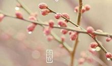 立春2月4日出生的属猪宝宝是什么命 性格好不好？(图文)