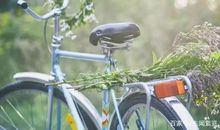 对父母的态度，就是你的风水！（受益匪浅）