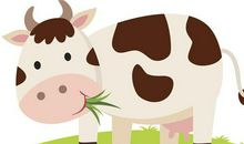 生肖牛的六合属相