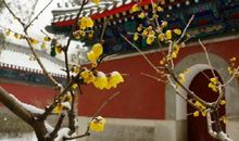 2020年6月13号闰四月二十二出生的女孩命好吗,取什么名字有气质