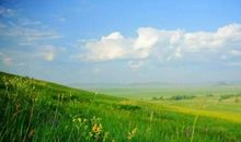 恭喜，大大好消息！1月底喜鹊叫，2月初不得了，4生肖运势喜洋洋