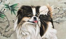 属兔女和属狗男结婚会离婚吗 能不能过一辈子(图文)