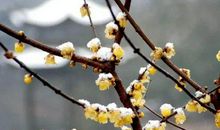 2020年6月15号闰四月二十四生的男孩命运好吗，取什么名字好