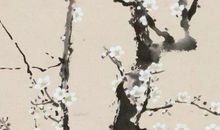 2020年6月16号闰四月二十五出生的女孩是什么命,如何取名字