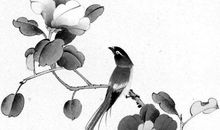 农历2020年一月正月二十八生的女孩命运好吗，起名宜用字推荐