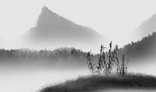 1994年子时出生的生肖属狗人命好吗，吉星坐镇，终身福禄双全