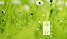 春分节气出生的属狗人命运好不好 是什么命？(图文)