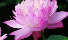 上升星座双子座女生，命运充满无限的可能