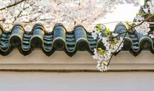 2月4日立春出生的属蛇宝宝是什么命 性格好不好？(图文)