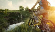 李云天2020年十二生肖运势盘点