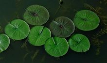 天庭和印堂的位置分别在哪里