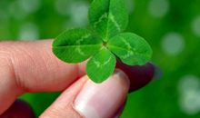 这3大生肖福泽深厚，年底收获满满，财神爷格外关照，财源滚滚来