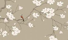 2020年白露前后出生的宝宝，从小衣食无忧，有富贵命