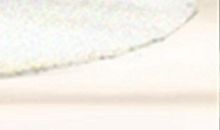 家里有老鼠有什么预兆 是好预兆吗