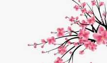 农历2020年二月二十九生的男孩命运好吗，如何起名字