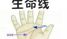 手相女生命线，开端出现分叉，表示性格活泼