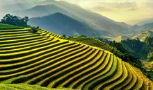 TIM大叔 11月10日至11月16日 本周星座运势提醒