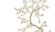 2020鼠年3月生肖属兔人的桃花运好吗，相比上月略有起色