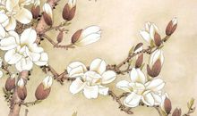 2020年冬至出生的鼠宝宝，事业平步青云，一生顺风顺水