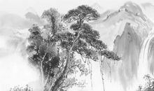 1993年子时出生的生肖属鸡人命好吗，一生运势表现平平