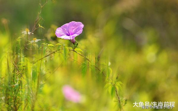 3月了不起的五生肖，好运如虹，事业稳定，财运良好 1