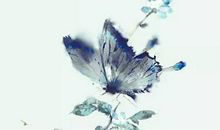 1960年出生的属鼠人命运，60年生鼠人后半生小康不断