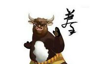 属牛的今年多大