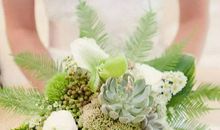 生肖属马人2020年农历十月哪几天适合结婚，宜嫁娶吉日查询