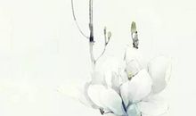 1948年出生的属鼠人命运，才华过人，一生衣食无忧