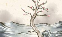 测试恋爱中的ta是否对你真诚相待